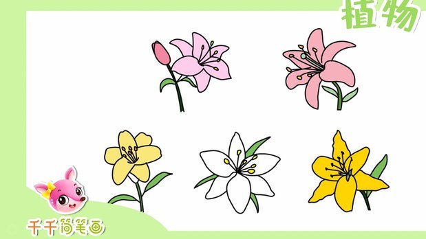 当面花套现的合规操作指南