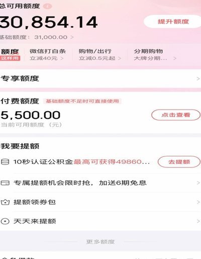 怎么把付费额度刷出来