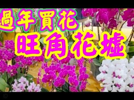如何轻松将花呗余额提现至银行账户？