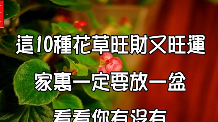 花呗怎么提取钱出来