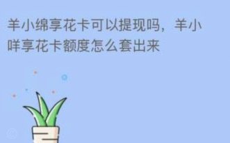 羊小咩可以套