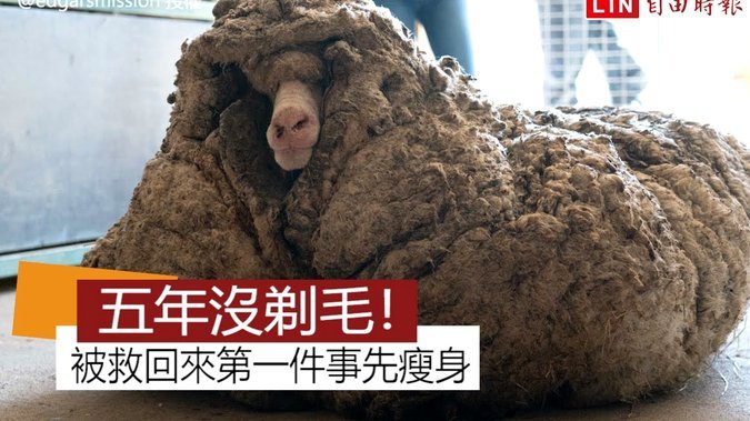 羊小咩享花卡包额度怎么提现