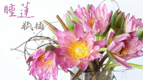 花呗平台正规性如何？现状解析