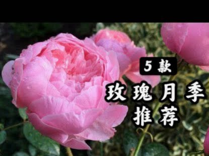 如何快速联系花呗客服
