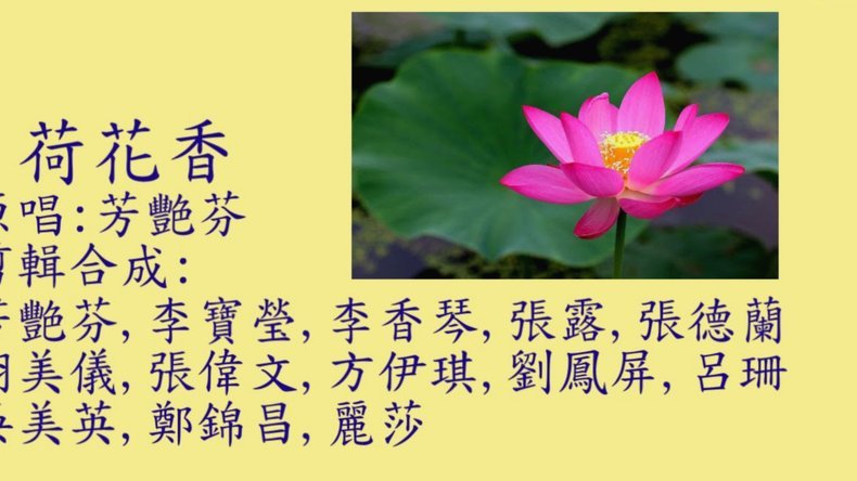 花呗兑现商家靠谱吗？风险自查指南