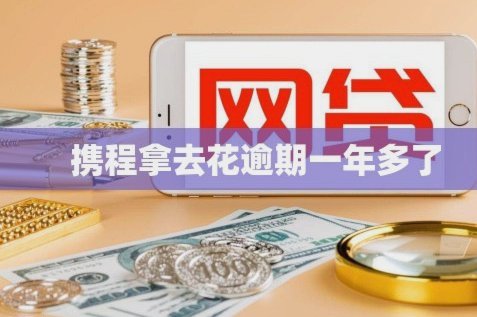 携程拿去花怎么还钱