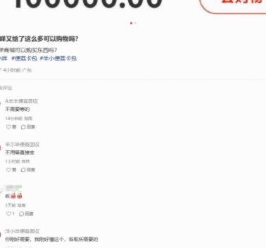 羊小咩：消费金融的崛起与资金逻辑