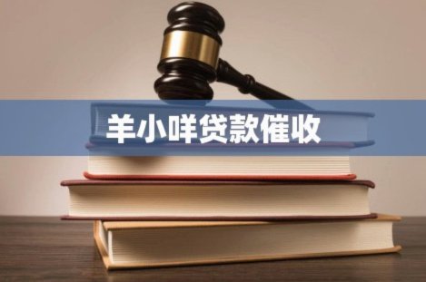 羊小咩哪里借钱