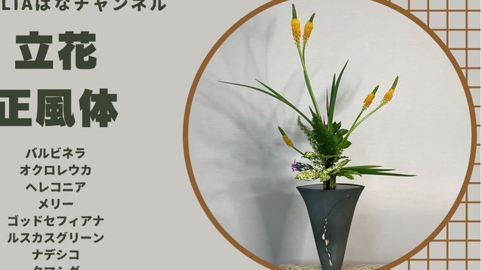 花呗现在叫什么变了名称不变意