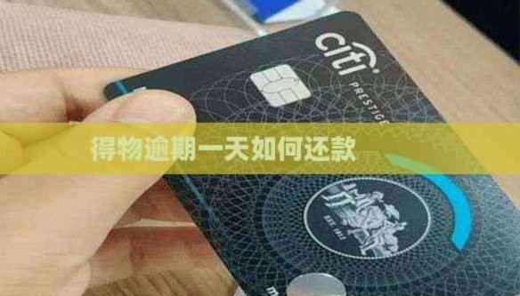 得物的分期在哪还