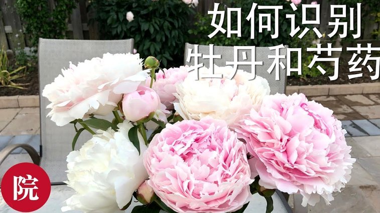 花呗是大平台吗