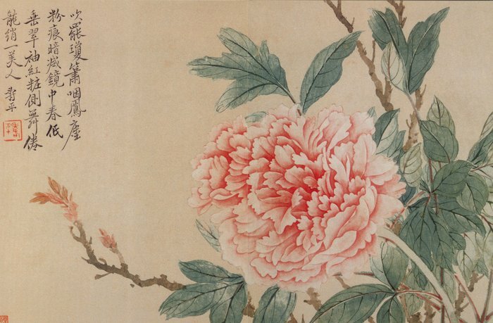 花呗是大平台吗