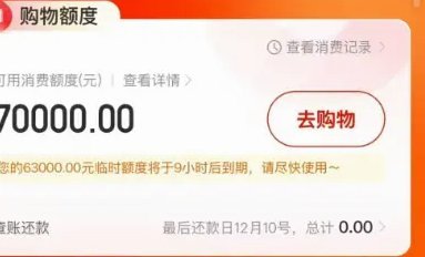 鹿优选额度查询指南