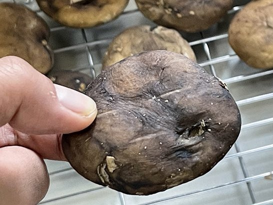 分付套现的6个方法 取现是什么