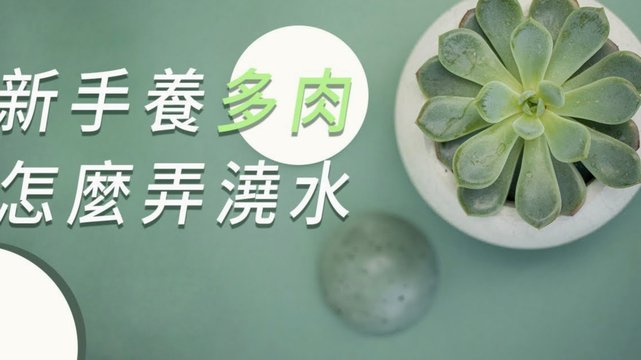 花呗转账是否属于提现？揭秘背后的金融逻辑