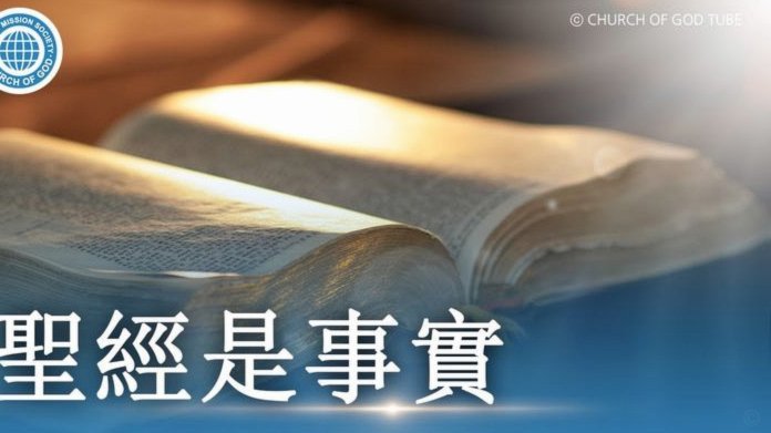 白条逾期怎么协商分期