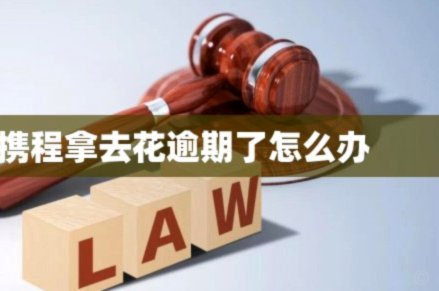 携程拿去花如何还款？分期缴费的完整流程解析