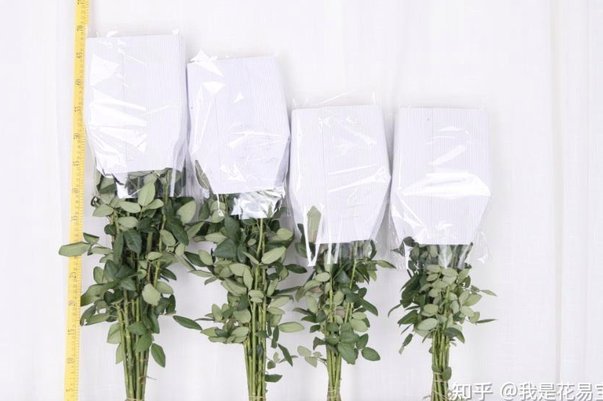 拿去花能套出来吗 哪里有卖
