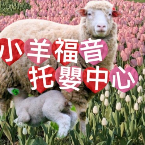 羊小咩提现失败