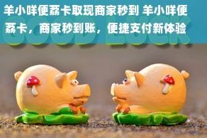 虚拟信用额度转现金：安全与风险并存