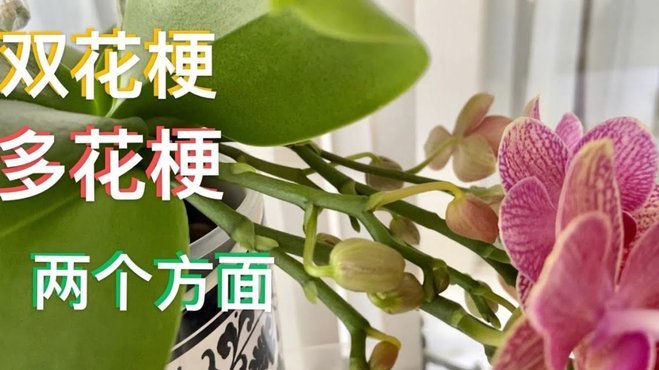 花呗套现：信用边界与风险挑战
