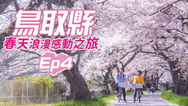 花呗变现秒到账？深度解析其机制、风险与避坑指南