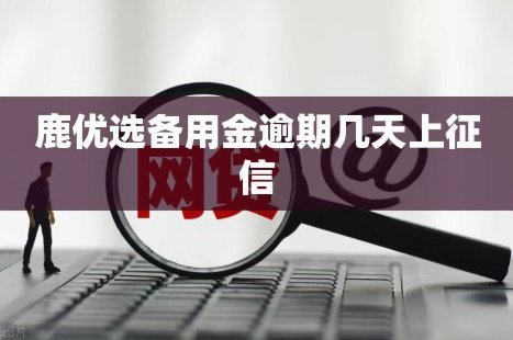 鹿优选备用金：好下款？真实体验告诉你