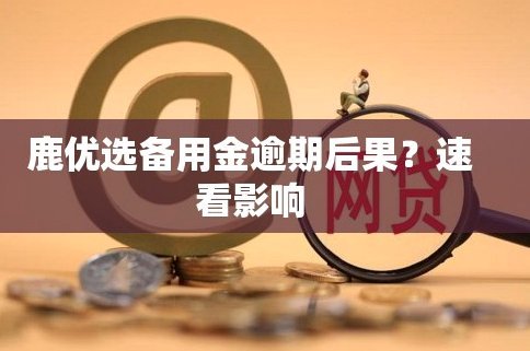 鹿优选备用金好下款吗
