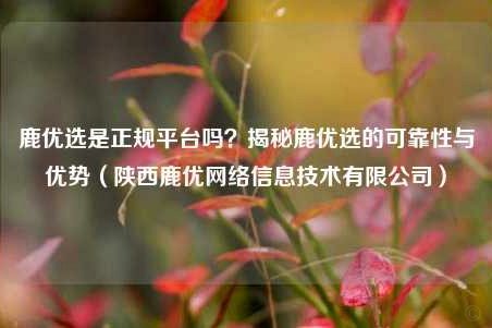 鹿优选平台属于哪个平台
