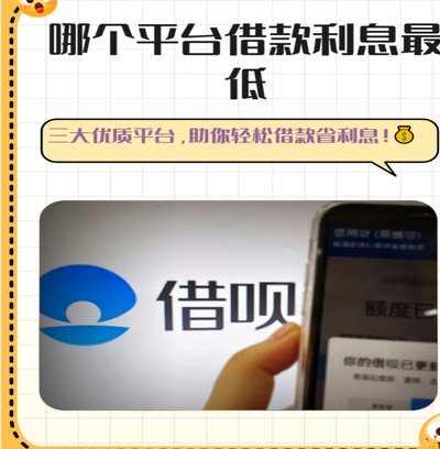 网贷借贷平台的风险与挑战