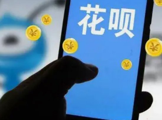 套花呗是什么行为
