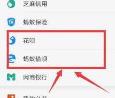 轻松借呗：支付宝花呗借款指南