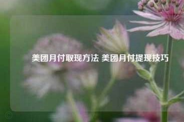 美团月付取现的商家怎么取消