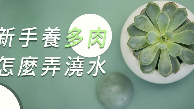 花呗怎么用？正当使用技巧分享