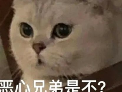 20000分期实际到手多少