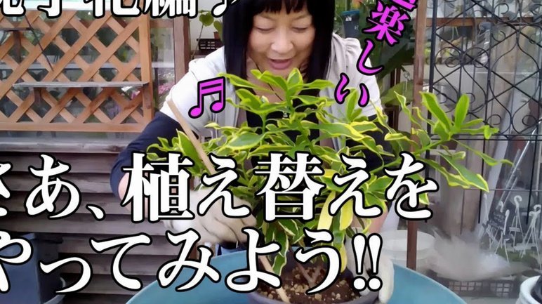 如何套取花呗额度不被发现