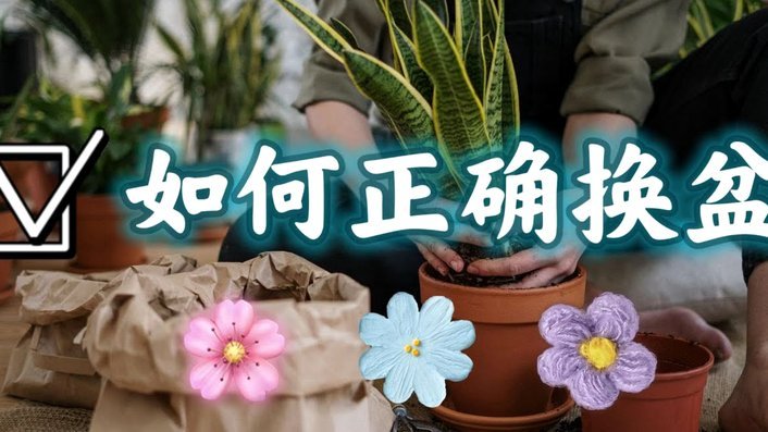 花呗套现：风险与防范之道