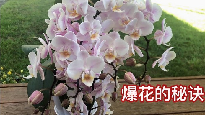 花呗套钱怎么套