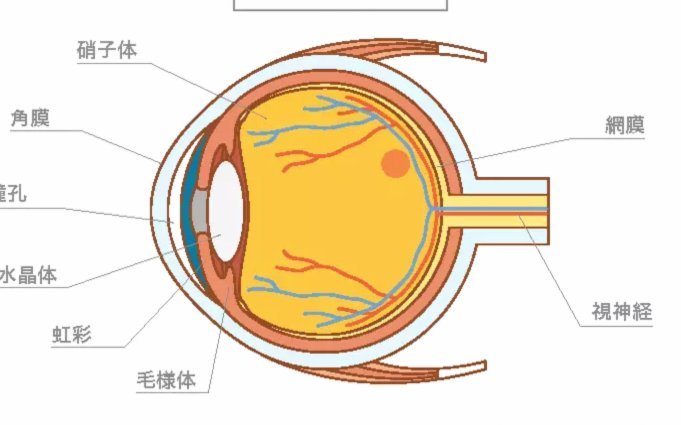 鹿优选动态定价揭秘