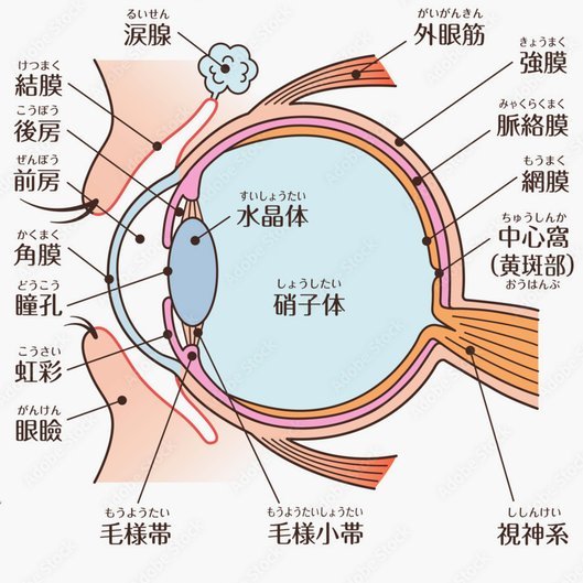 鹿优选几折回收
