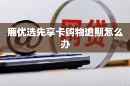 鹿优选先享卡套利指南