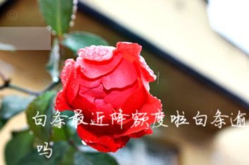 白条额度用不完？它发生了什么变化