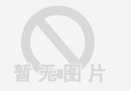 羊小咩额度怎么套出来使用