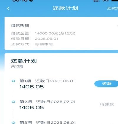 拍拍贷借款流程详解：高效与安全的平衡艺术