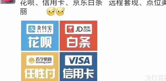 套花呗什么意思啊