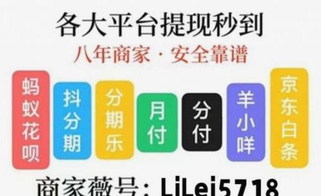 套花呗什么意思啊