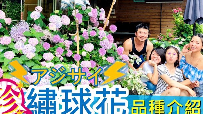 花呗平台贷款合法吗？真相在这里🔍