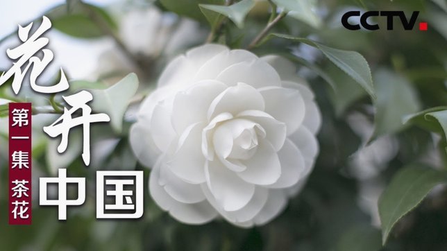 携程拿去花套现30%值不值？