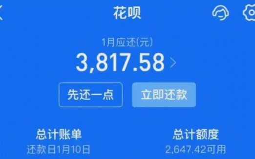 花呗时代：消费革新与风险并存