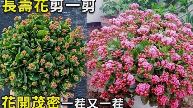 花呗逾期率结构性波动：风险集中与信用评估升级